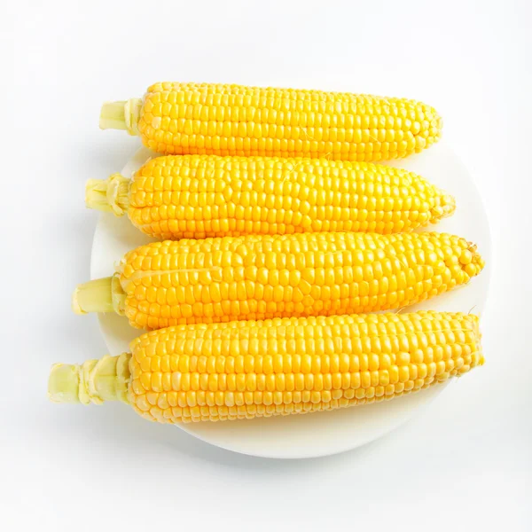 Maissintähkät — kuvapankkivalokuva