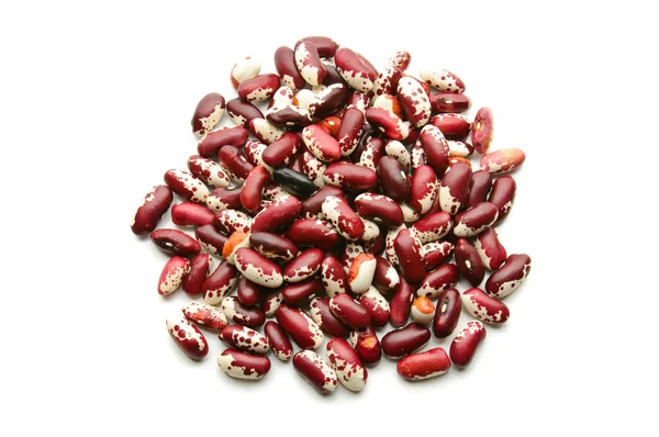 Pinto red beans — Stock Photo, Image