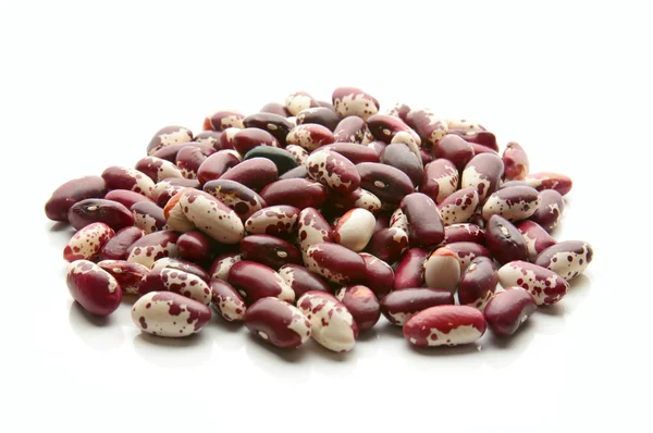 ピントの赤豆 — ストック写真