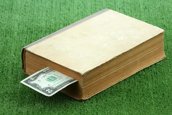 Dollar in boek — Stockfoto