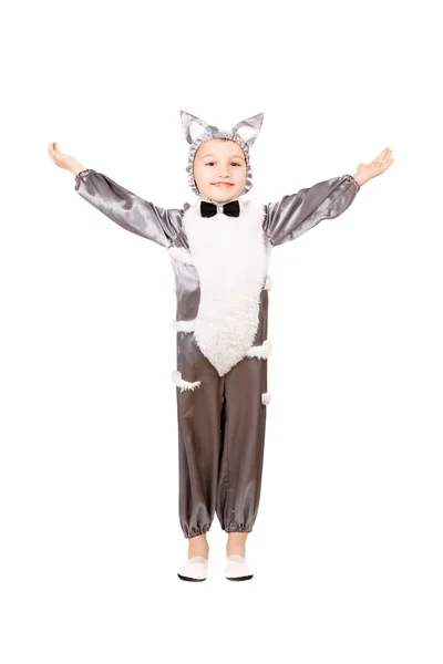 Boy dressed as cat — Stock Photo, Image