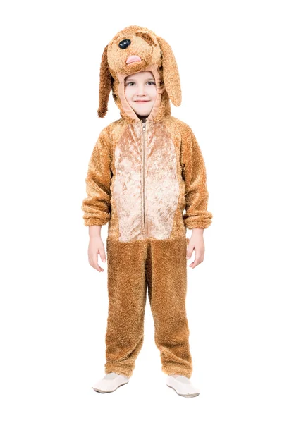 Boy dressed as dog. Isolated — Stock Photo, Image
