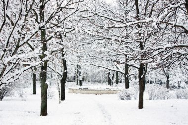 Kış park