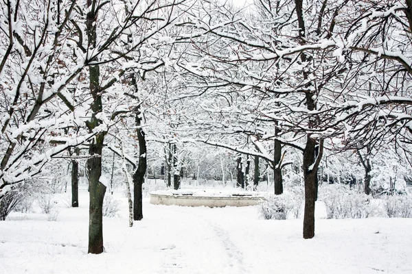 Parque de invierno — Foto de Stock