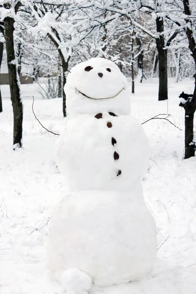 Hombre de nieve perfecto — Foto de Stock