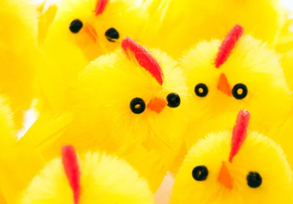 Grupo de pollos de Pascua —  Fotos de Stock