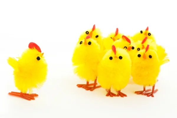 Groupe de poulets de Pâques et un chef — Photo