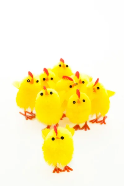 Group of easter chickens and one leader — Stock Photo, Image