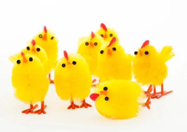 Groep van Pasen kippen en de gevallen leider — Stockfoto