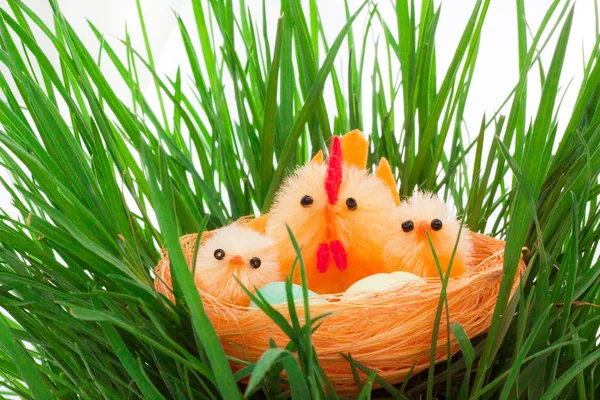 Ninho com galinhas de Páscoa em uma grama — Fotografia de Stock