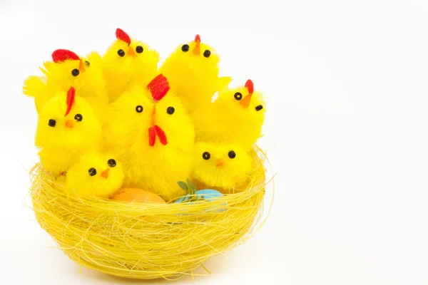 Easter chickens and hen in a nest — Stock Photo, Image