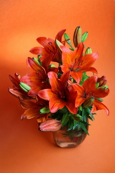 Lilly on a orange background. Summer flowers — Stock Photo, Image