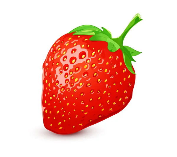 Reife Erdbeere — Stockvektor