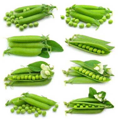 Collection of fresh green pea clipart