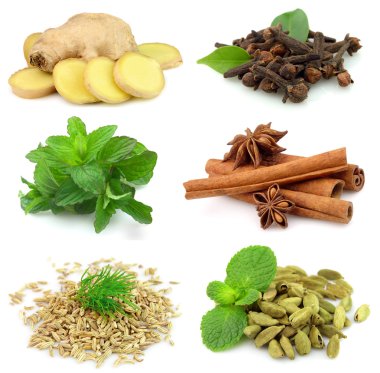 Collecton of fragrant spices clipart