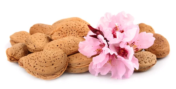 Almonds with flowers — Stock Photo, Image