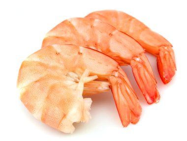 Shrimps clipart