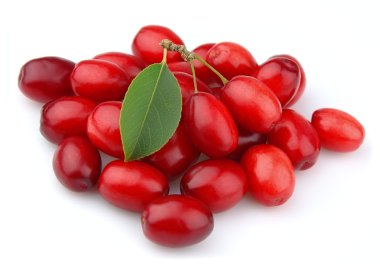 tatlı dogberry