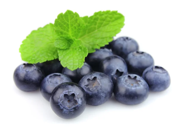 甜的蓝莓与新鲜薄荷 — 图库照片