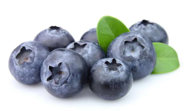 Blueberries with leaves — Stock Photo, Image
