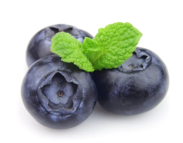 成熟蓝莓与薄荷 — 图库照片