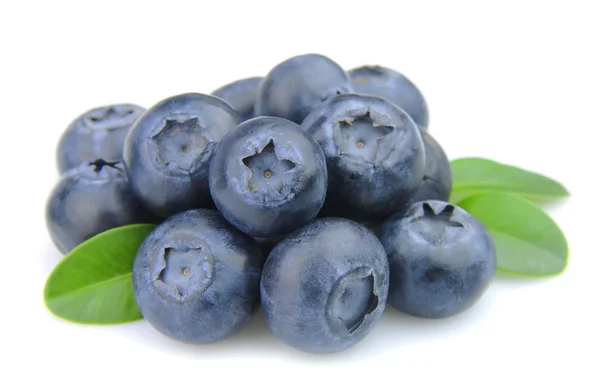 Fresh blueberries with leafs — Stock Photo, Image