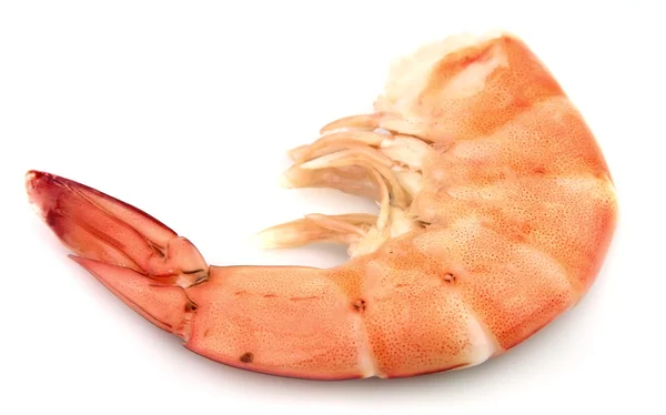 One huge shrimp — Stock Photo, Image