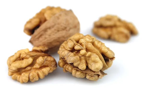Сухие грецкие орехи — стоковое фото