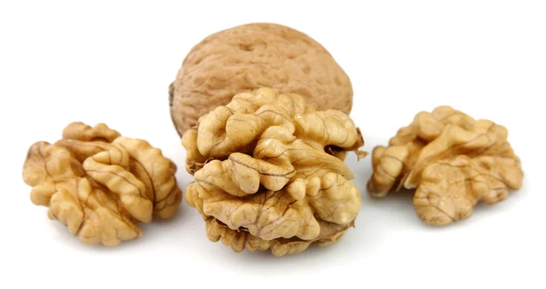 Сухие грецкие орехи — стоковое фото
