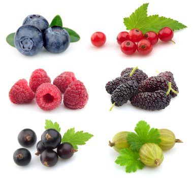 Collection of sweet berries clipart