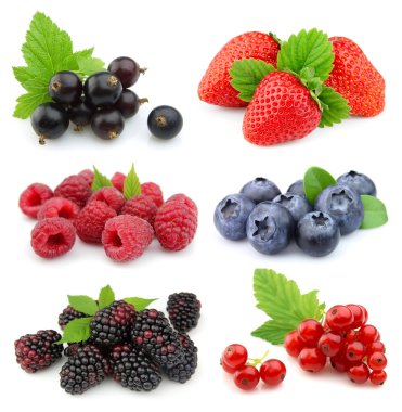 Collection of sweet berries clipart