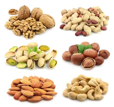 Collage of nuts clipart