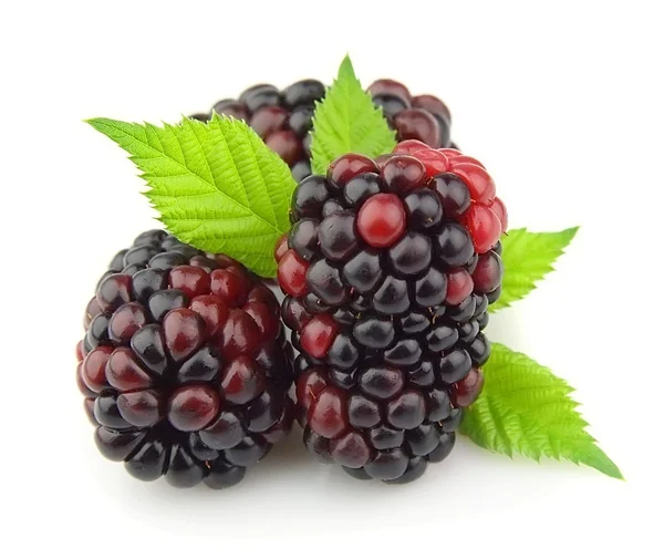 Sweet dewberry — Stock Photo, Image