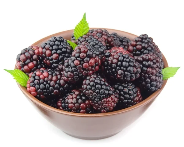 Dewberry — Stock Photo, Image