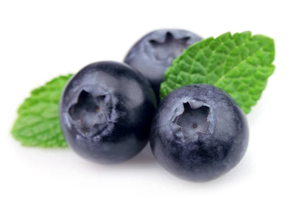 蓝莓和薄荷 — 图库照片