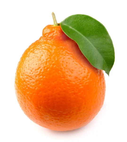 Citrus közelről — Stock Fotó
