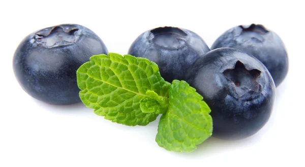 Blueberries and mint — Stock Photo, Image
