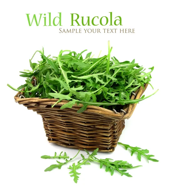 Wild rucola — Stockfoto