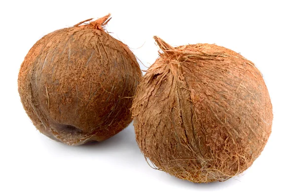 Dois coco doce — Fotografia de Stock