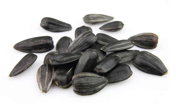 Sunflower seed — Stock Photo, Image