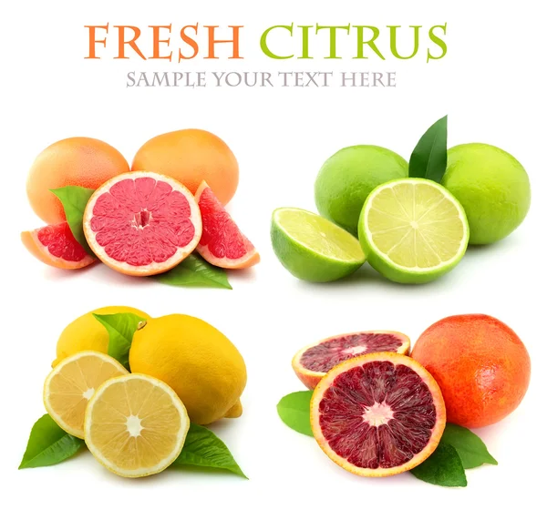 Collage van verse citrusvruchten — Stockfoto