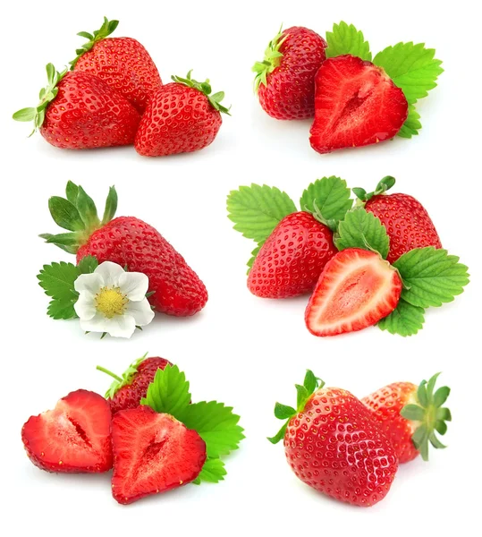 Sammlung von Erdbeeren — Stockfoto