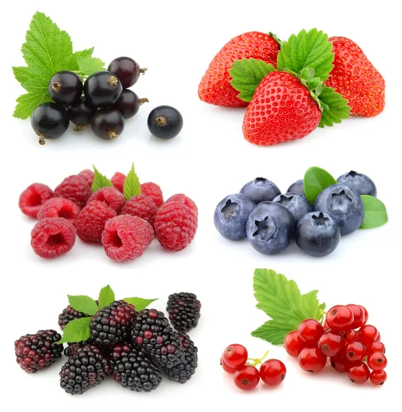 Collection of sweet berries Stock Picture