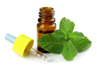 Peppermint oil clipart