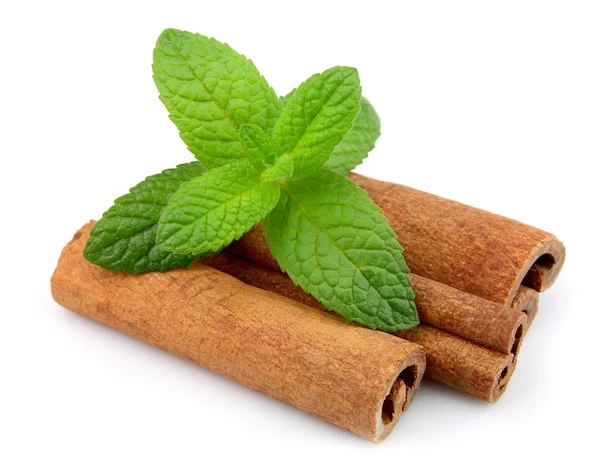 Cinnamon bark and fresh mint — Stock Photo, Image