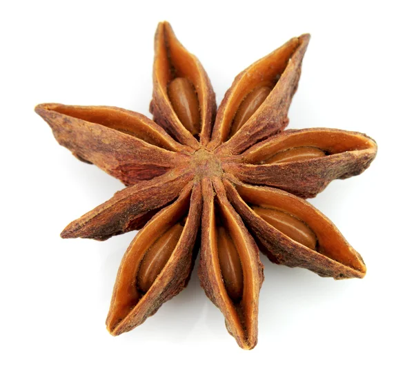 Star anise — Stock Photo, Image