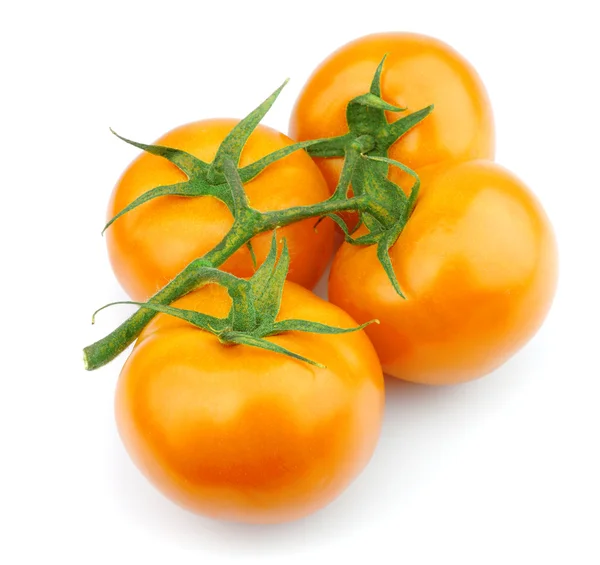 stock image Yellow tomato