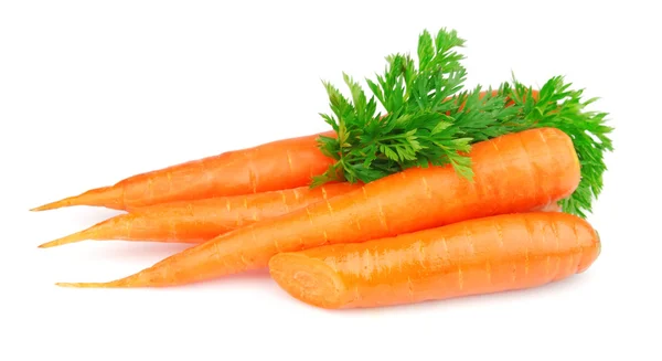 Freash wortelen — Stockfoto