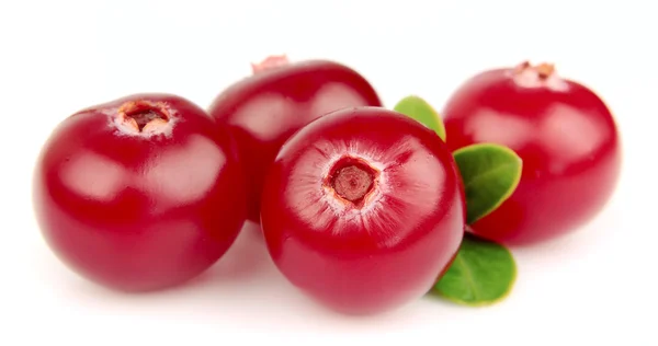 成熟的莓果的小红莓 — 图库照片