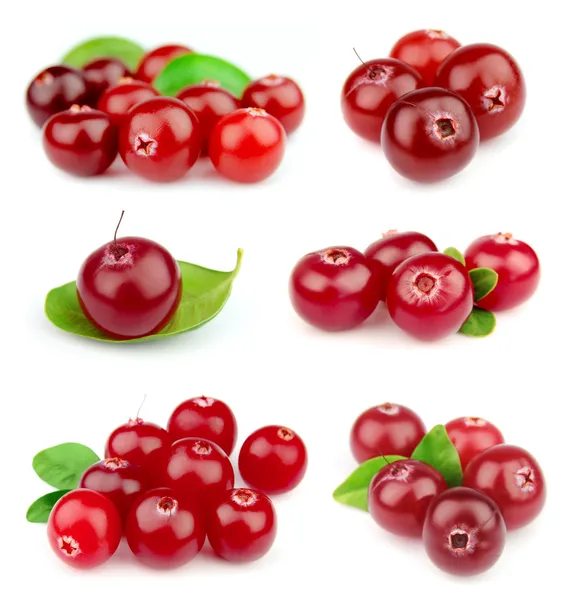 Collage from cranberry — Stock Photo, Image